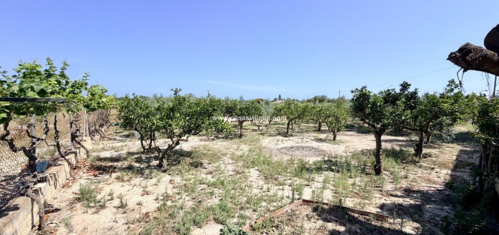 Sale - Country Property - La Marina - Costa Blanca