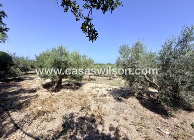Sale - Country Property - La Marina - Costa Blanca