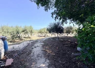 Sale - Country Property - La Marina - Costa Blanca