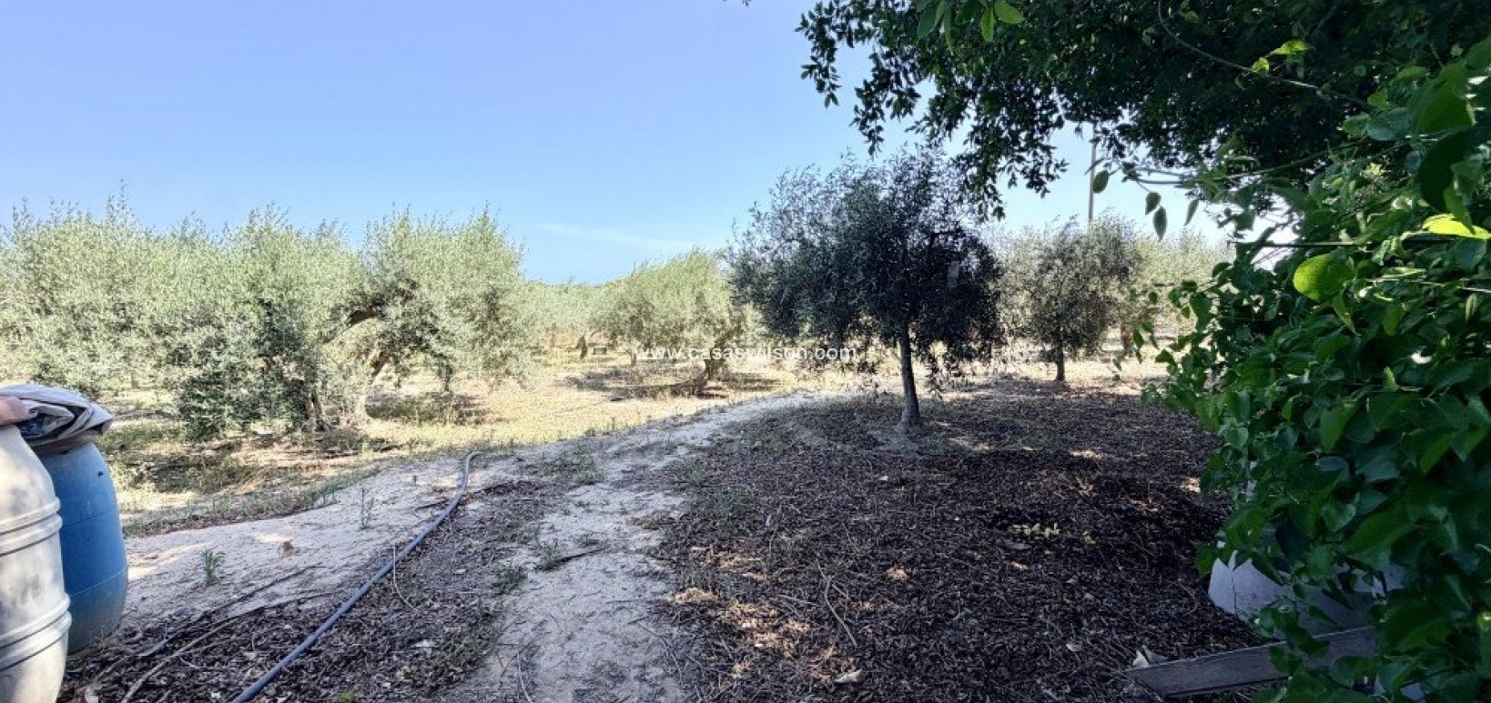 Sale - Country Property - La Marina - Costa Blanca