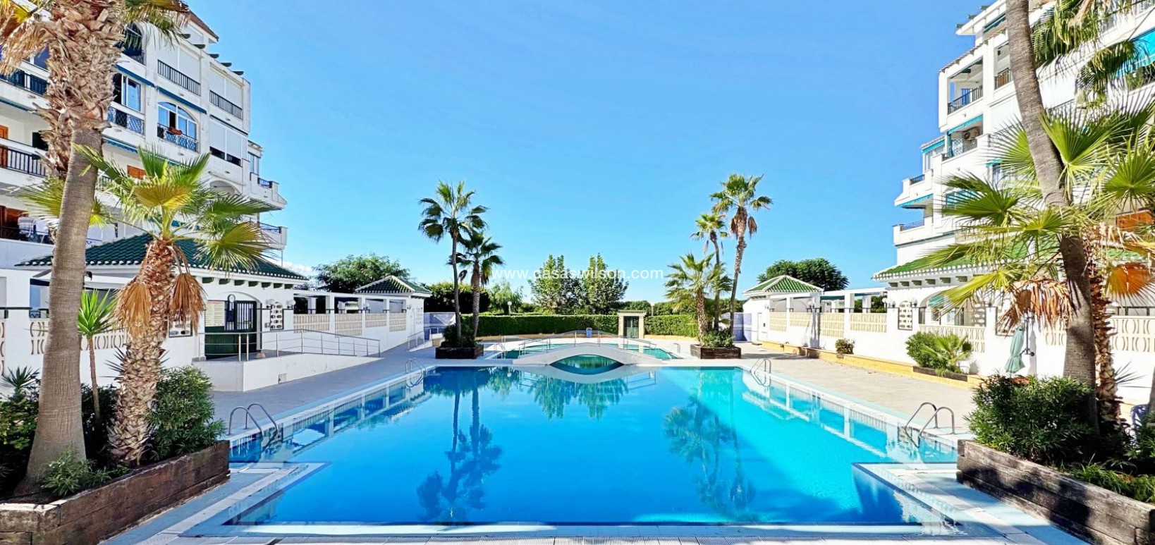 Bestaande bouw - Appartement - Torrevieja - Costa Blanca
