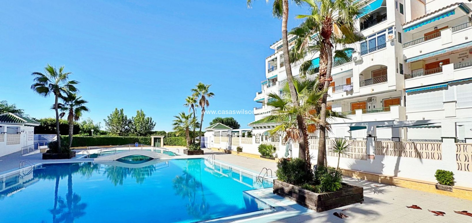 Bestaande bouw - Appartement - Torrevieja - Costa Blanca
