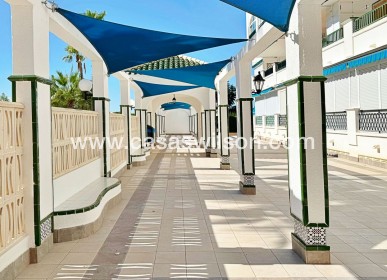 Bestaande bouw - Appartement - Torrevieja - Costa Blanca