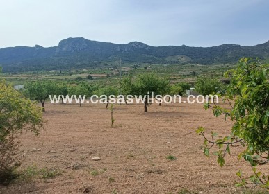 Sale - Villa - La Romana - Inland