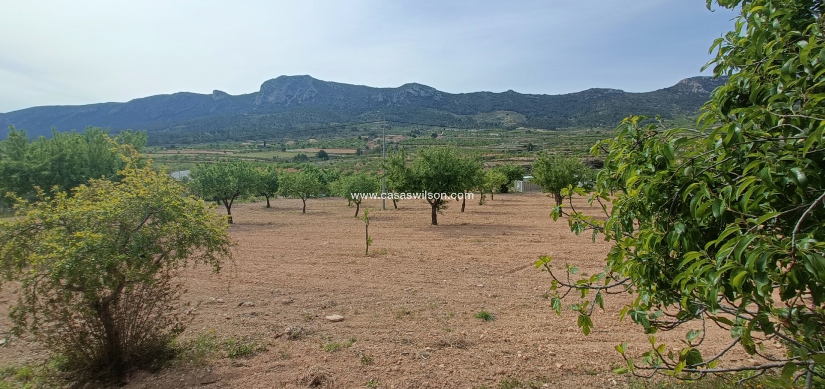 Sale - Villa - La Romana - Inland