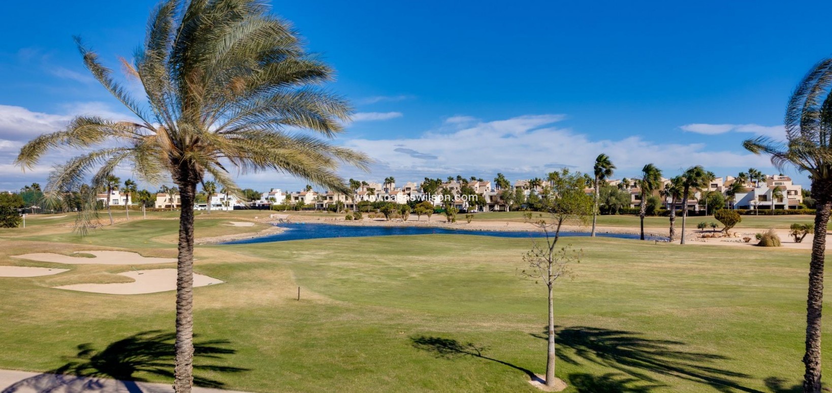 New Build - Villa - Pilar de la Horadada - Lo Romero Golf