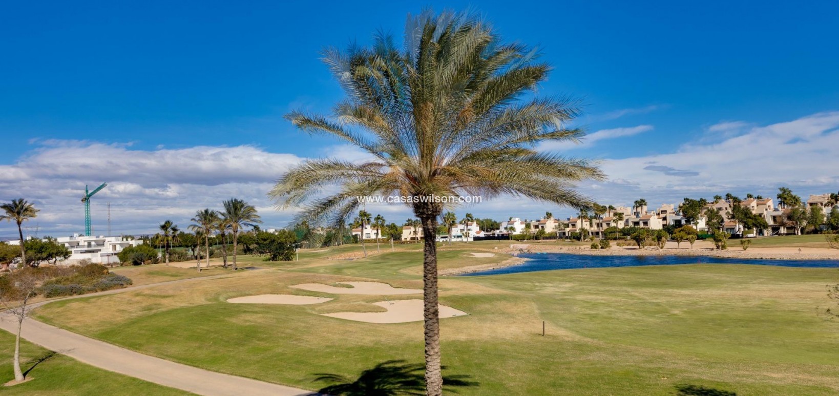 New Build - Villa - Pilar de la Horadada - Lo Romero Golf