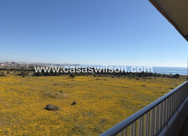 Sale - Apartment - Punta Prima - Costa Blanca