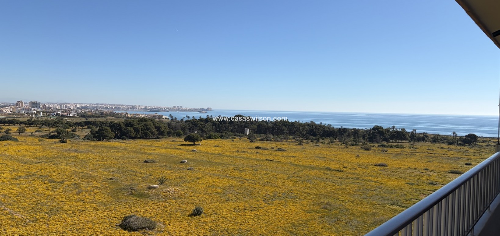 Sale - Apartment - Punta Prima - Costa Blanca