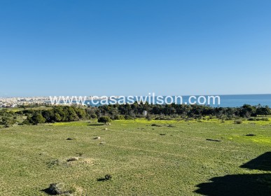 Sale - Apartment - Punta Prima - Costa Blanca