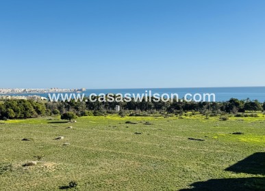 Sale - Apartment - Punta Prima - Costa Blanca