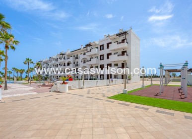 Sale - Appartement - Los Alcazares - Serena Golf