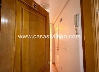Bestaande bouw - Appartement - Torrevieja - Playa de los Locos