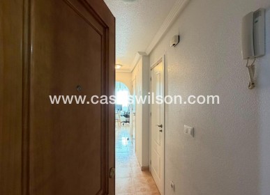 Bestaande bouw - Appartement - Torrevieja - Playa de los Locos