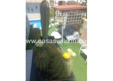 Sale - Townhouse - Orihuela Costa - Los Almendros-la Florida