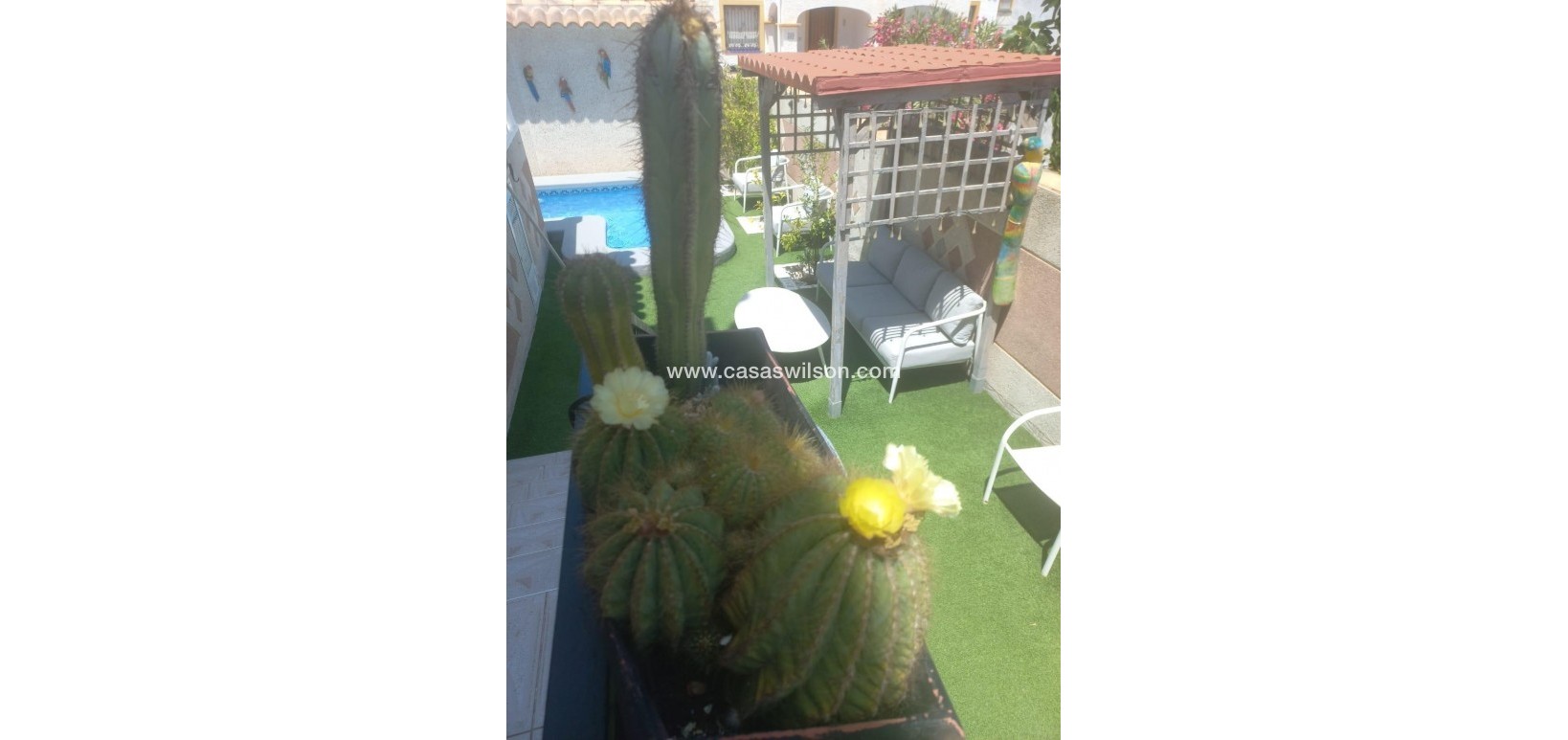 Sale - Townhouse - Orihuela Costa - Los Almendros-la Florida