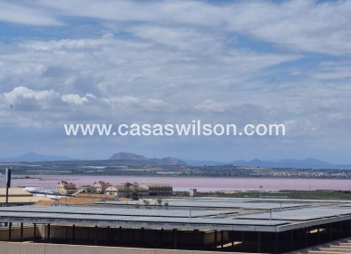 Sale - Appartement - Torrevieja - Acequion