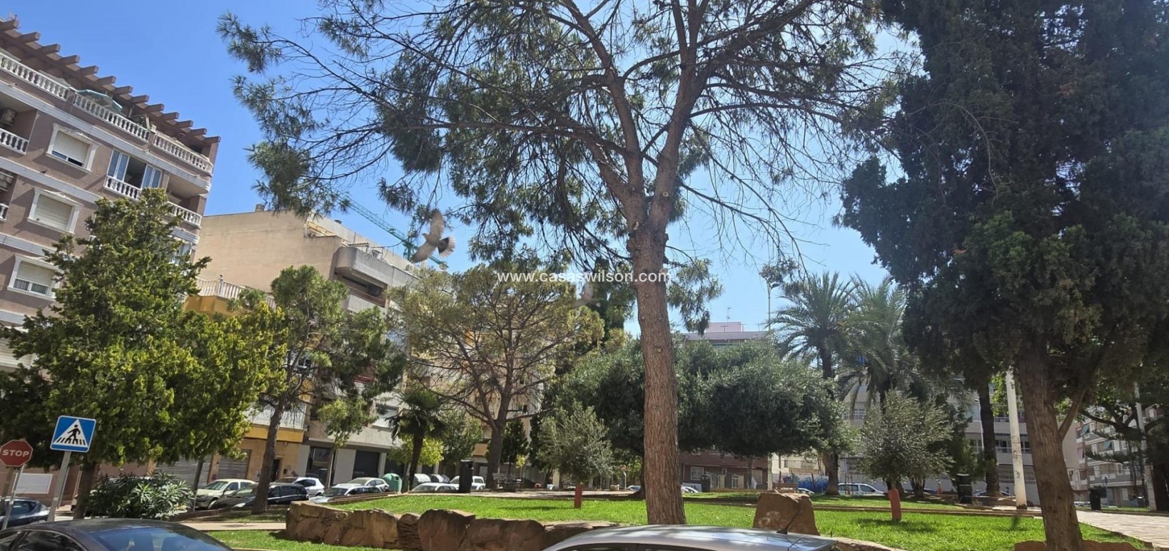 Sale - Appartement - Torrevieja - Playa del Cura