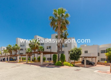 Venta - Apartamento - Orihuela - Las colinas