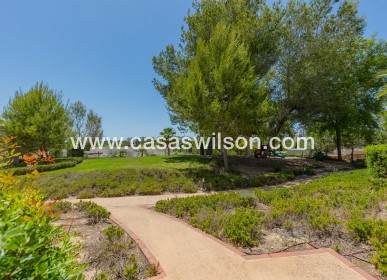 Venta - Apartamento - Orihuela - Las colinas