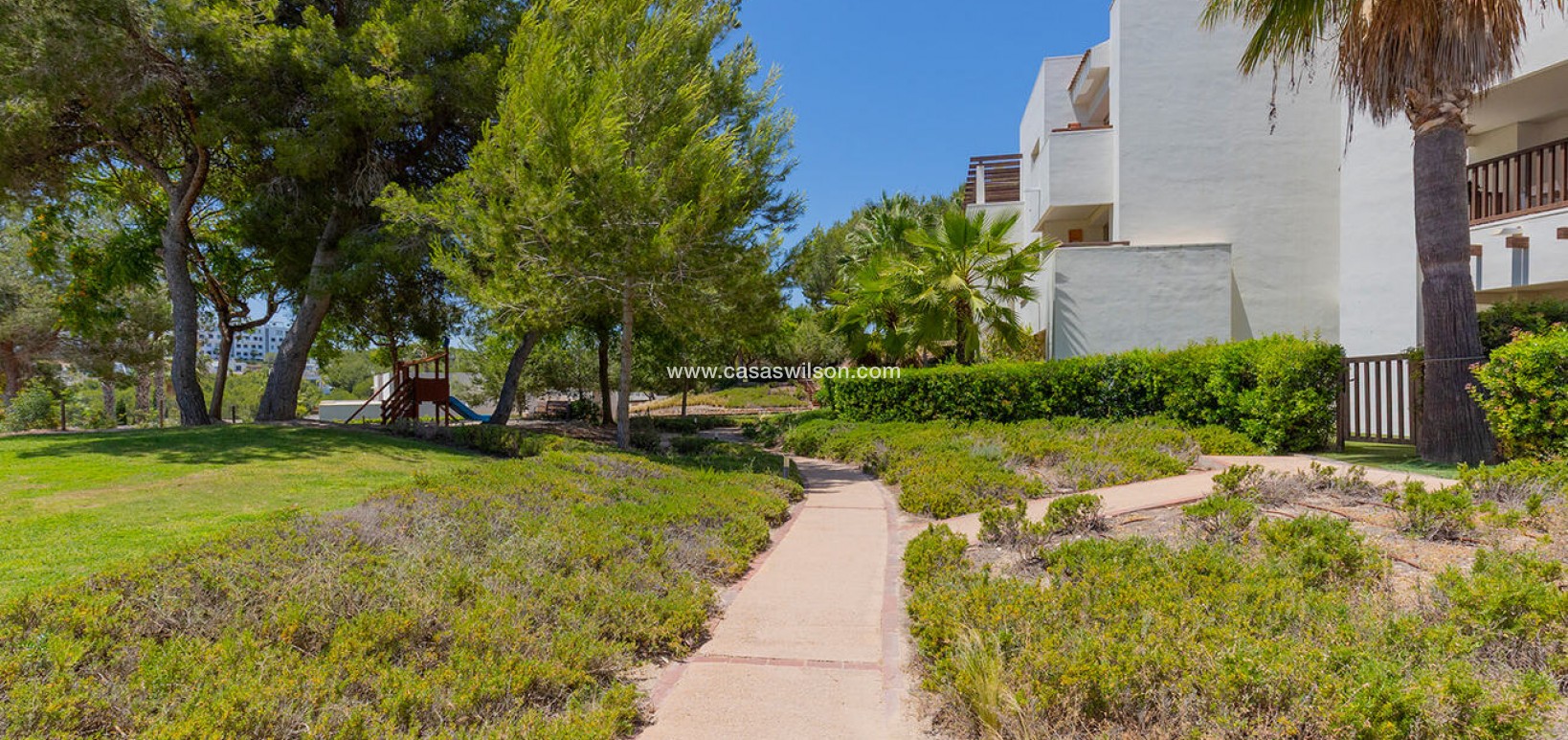 Venta - Apartamento - Orihuela - Las colinas