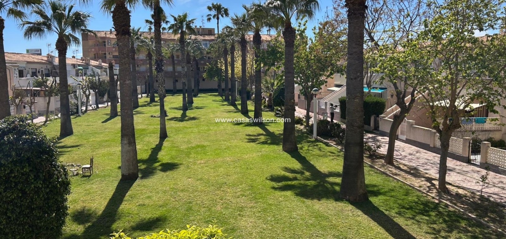 Venta - Apartamento - Cabo Roig