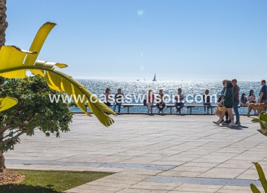 Bestaande bouw - Appartement - Torrevieja - Habaneras