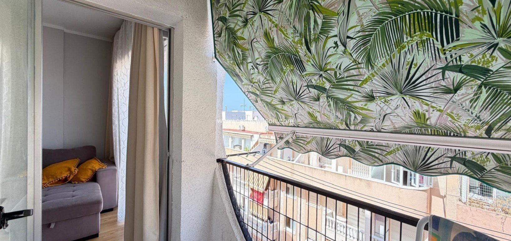 Venta - Apartamento - Torrevieja - Playa de los Locos
