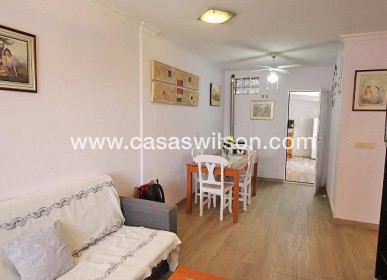 Venta - Bungalow - Guardamar del Segura - 03140