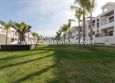 Nueva construcción  - Bungalow - Torrevieja - Los Balcones