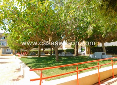Long time Rental - Appartement - San Miguel de Salinas - San Miguel Salinas
