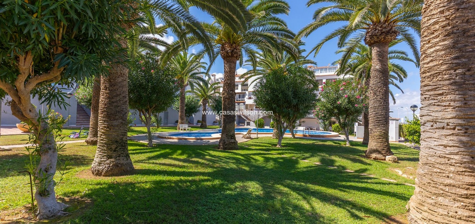 Sale - Appartement - La Mata - Costa Blanca
