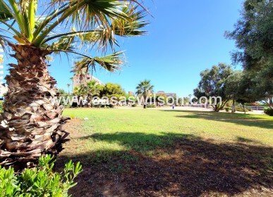 Sale - Appartement - Torrevieja - Costa Blanca