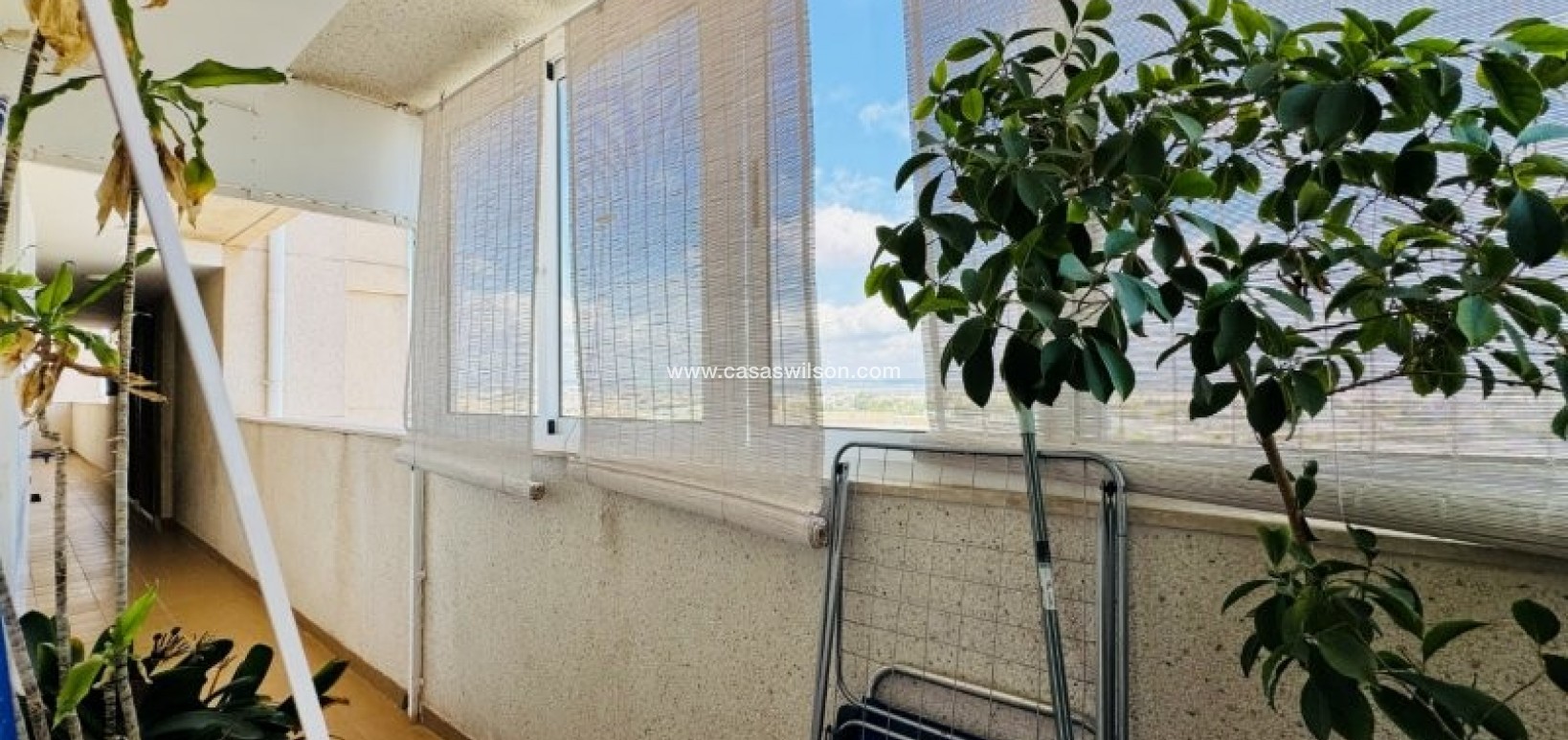 Sale - Appartement - Torrevieja - Costa Blanca