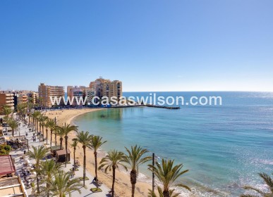 Bestaande bouw - Appartement - Torrevieja - Playa del Cura