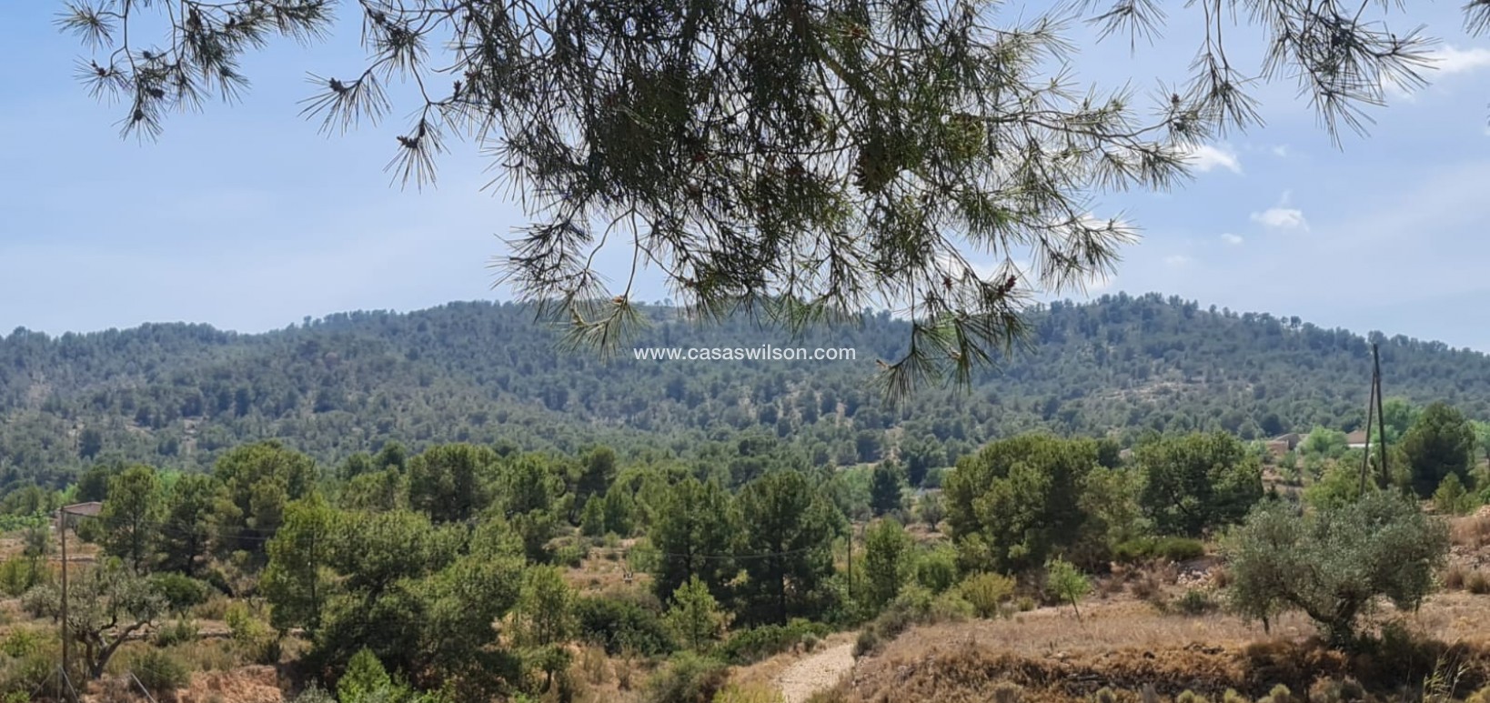 Sale - Villa - Monóvar/Monóver - Inland