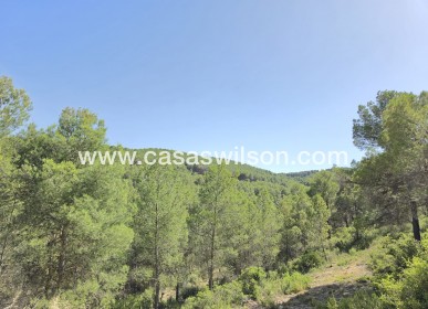 Sale - Country Property - Villena - Inland