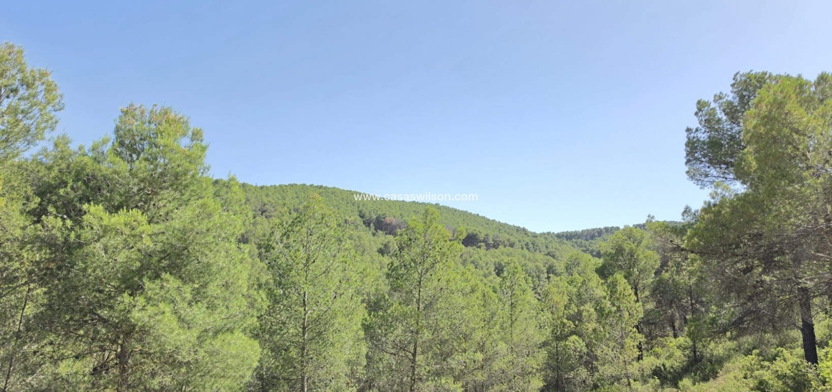 Sale - Country Property - Villena - Inland