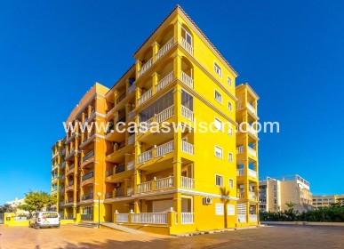 Sale - Appartement - Torrevieja - Torreblanca