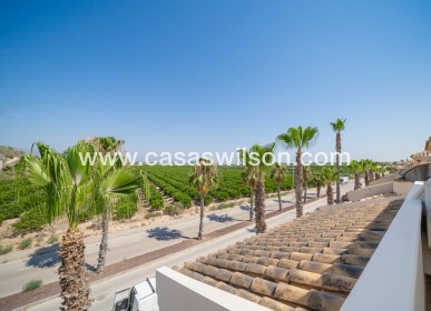 Bestaande bouw - Semidetached - Algorfa