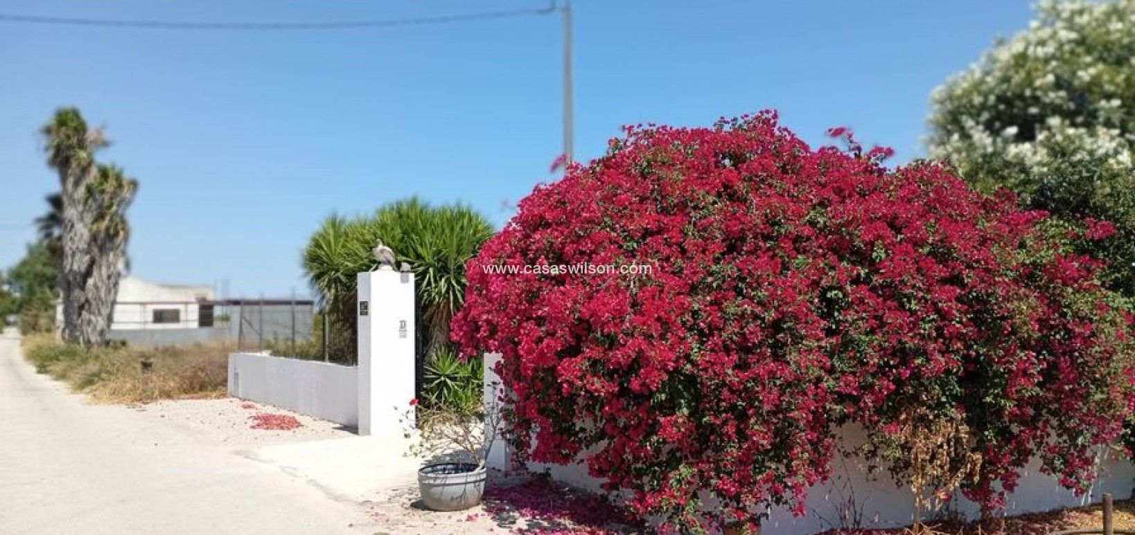 Bestaande bouw - Country Property - Daya Nueva