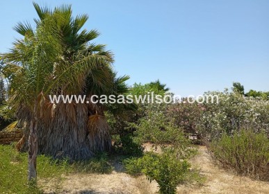 Bestaande bouw - Country Property - Daya Nueva