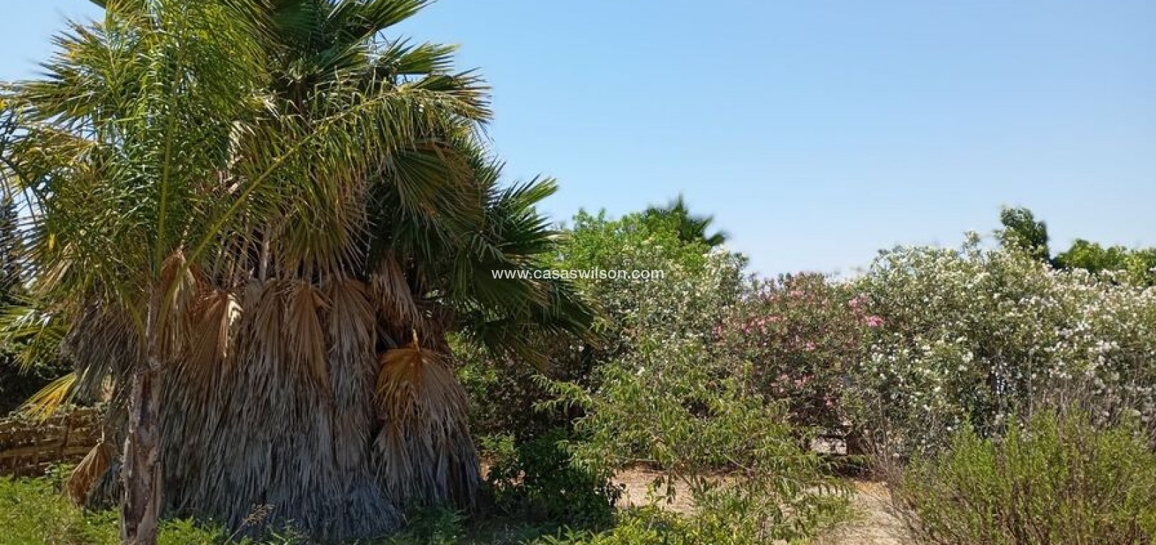 Bestaande bouw - Country Property - Daya Nueva