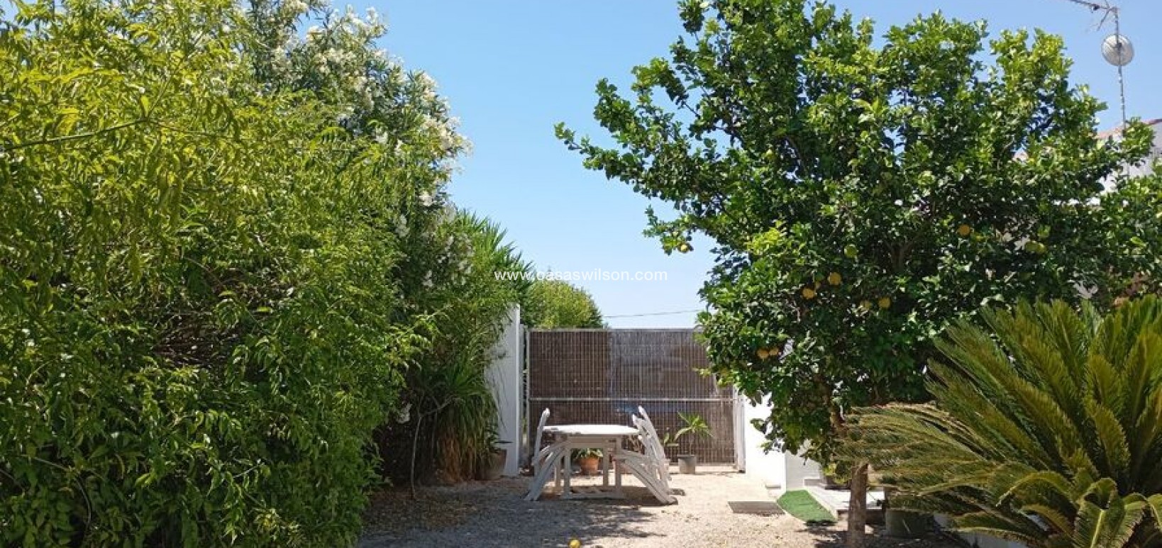 Bestaande bouw - Country Property - Daya Nueva