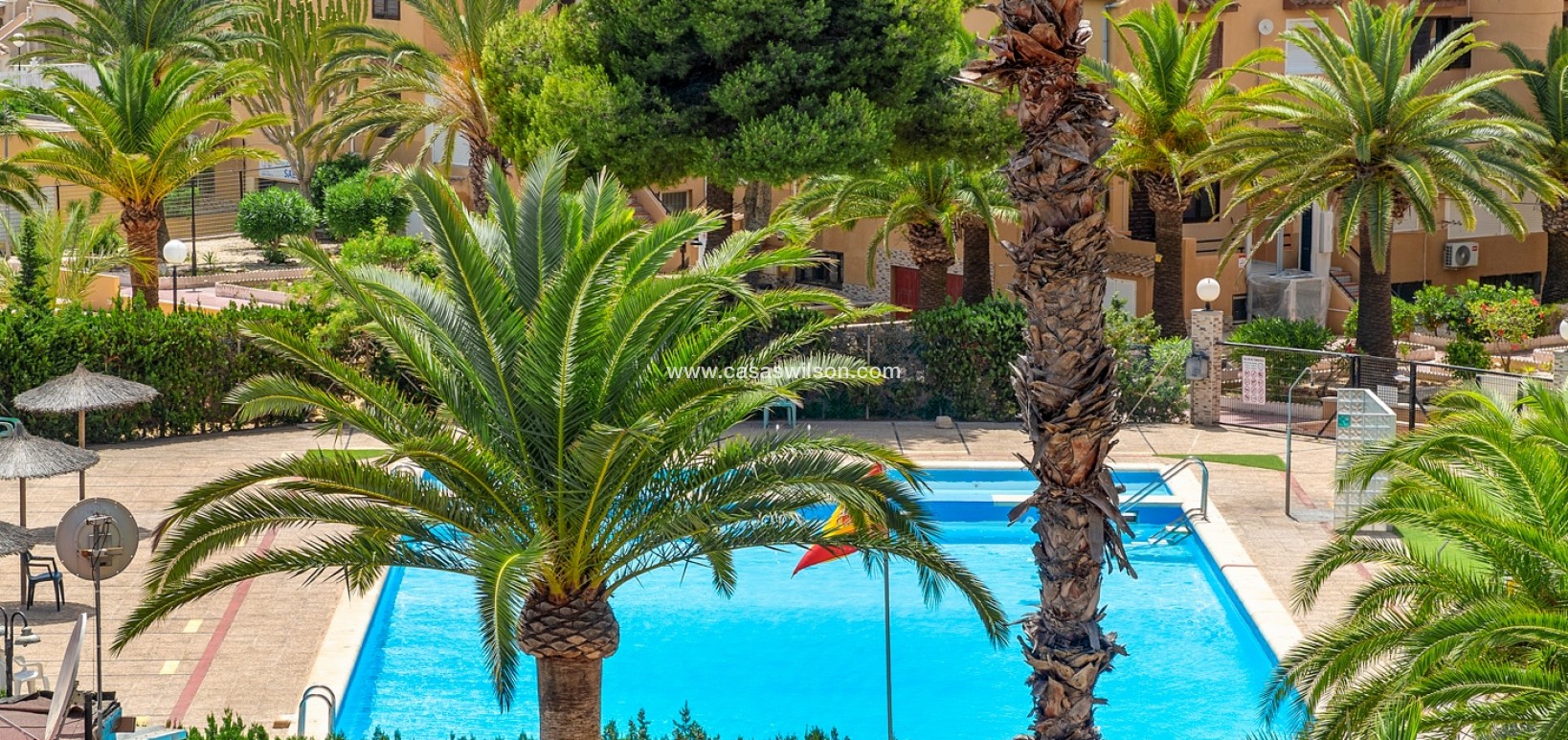 Bestaande bouw - Appartement - Torrevieja - Torrevieja - Aguas Nuevas