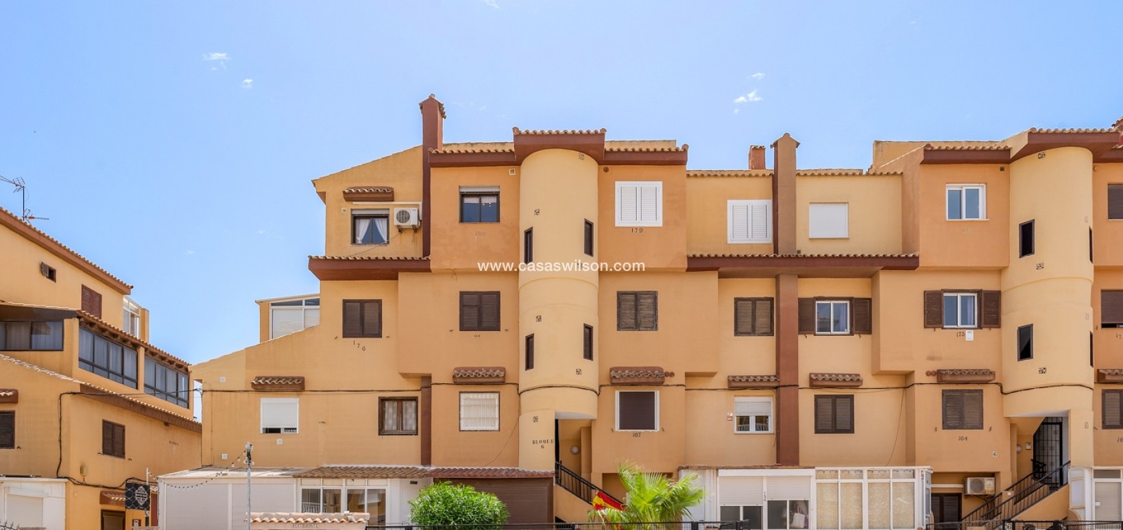 Bestaande bouw - Appartement - Torrevieja - Torrevieja - Aguas Nuevas