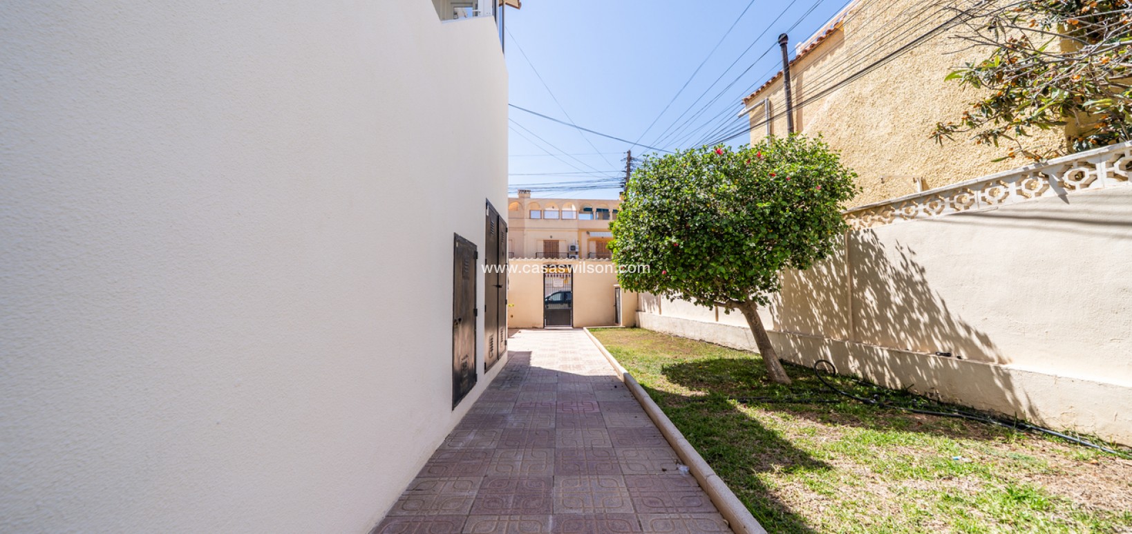 Bestaande bouw - Appartement - Torrevieja - El chaparral