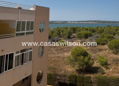 Sale - Apartment - Torrevieja - Costa Blanca