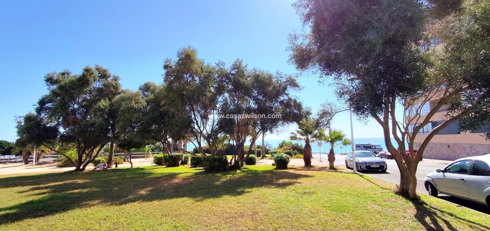 Sale - Appartement - Torrevieja - Costa Blanca