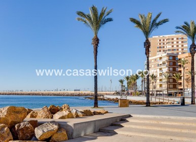 Sale - Appartement - Torrevieja - Antonio Machado